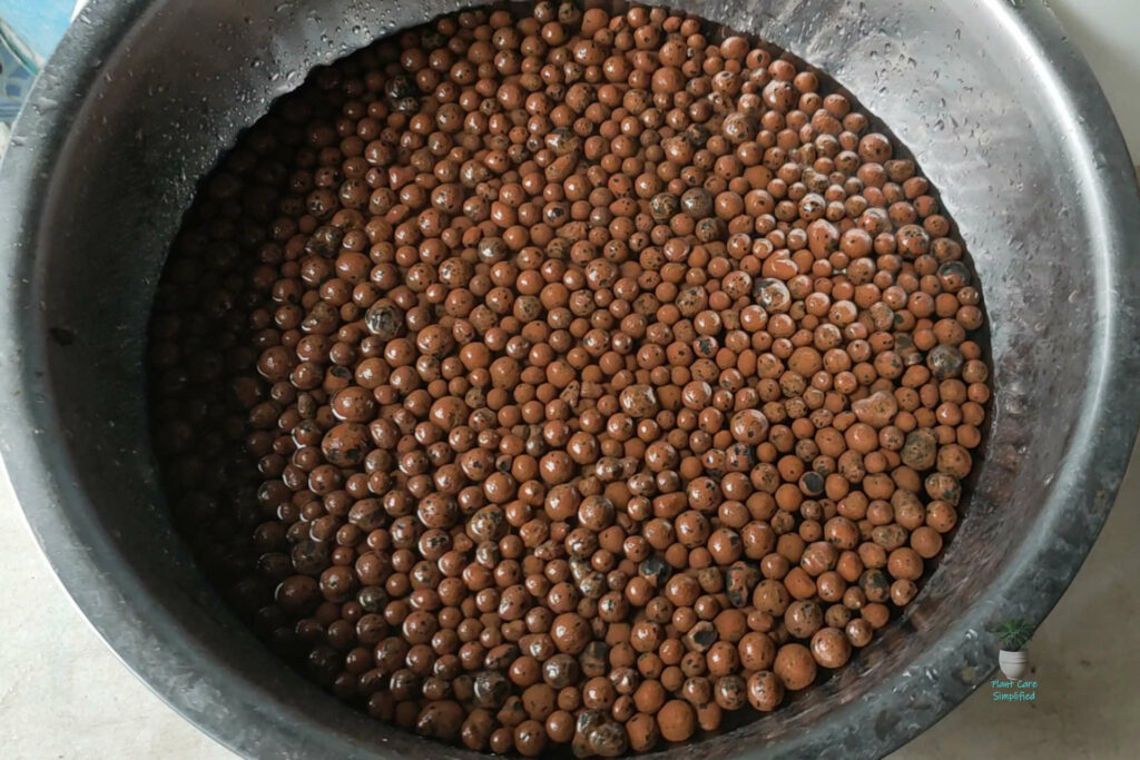 The Science Behind Soaking - soaking the LECA balls for 24hrs