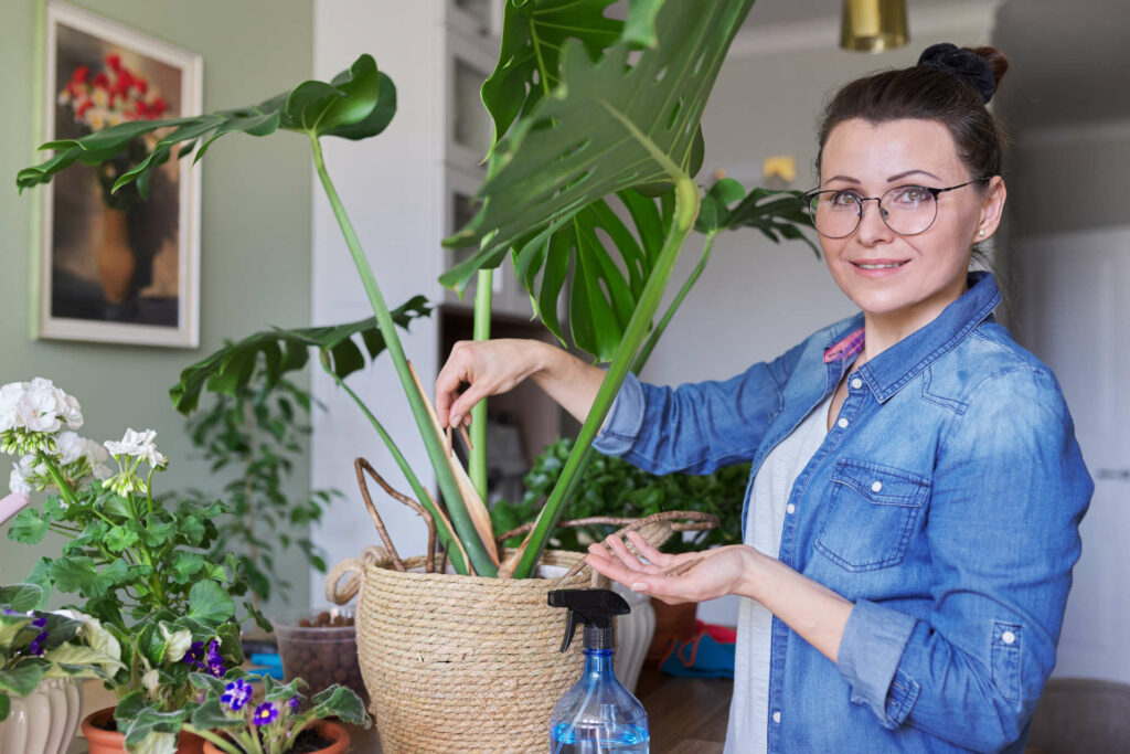 The Do's and Don'ts of Fertilizing Your Monstera Plant