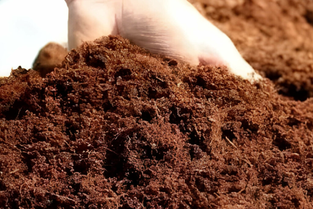 Considering Alternative Soil Amendments for Lipstick Plants- de-compacted coco coir