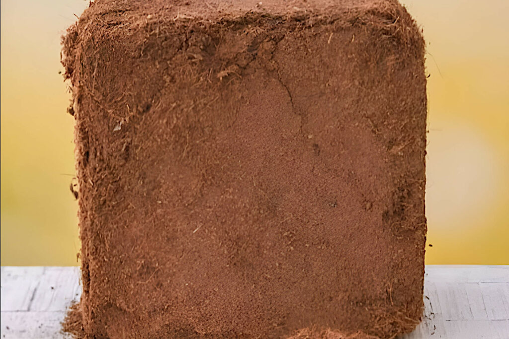 compacted coco coir brick